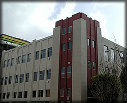Federal Alley Lofts