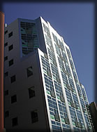 The Hawthorne